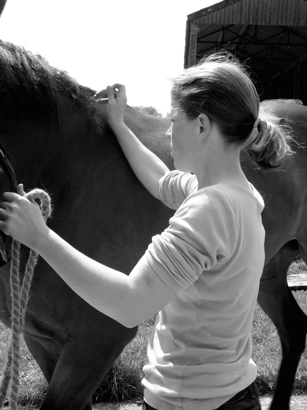 Chirovet Kent Limited